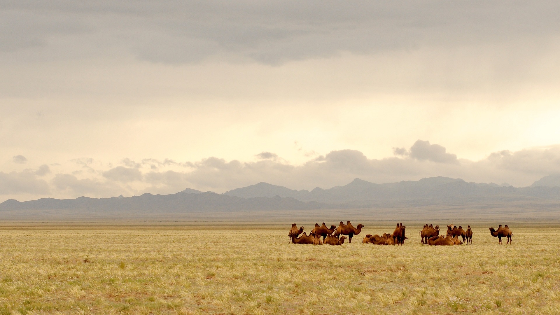 null Mongolei