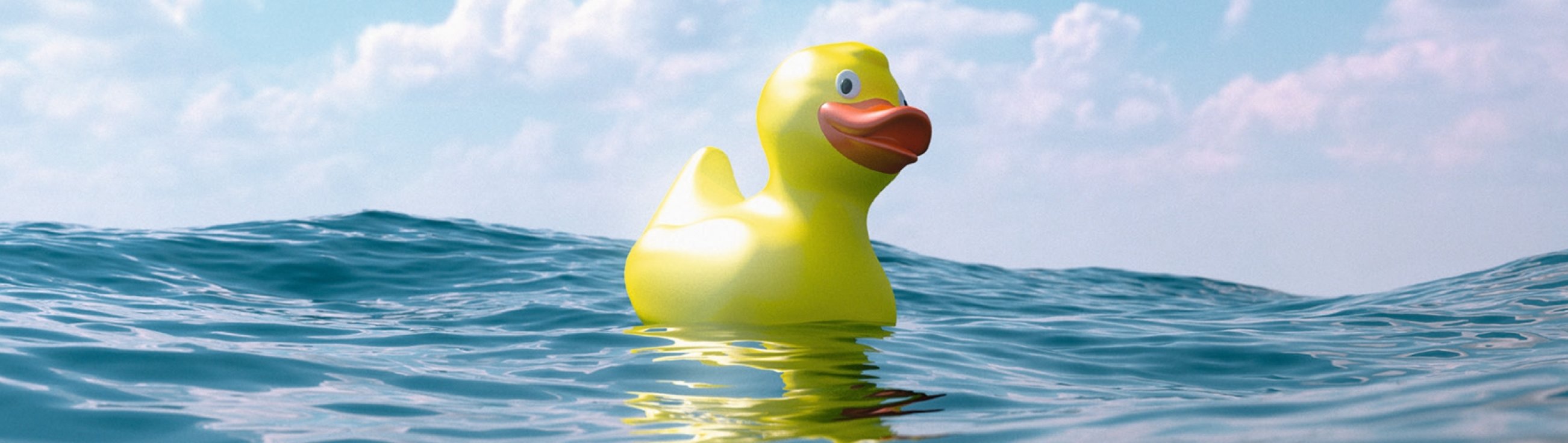 Canard eau