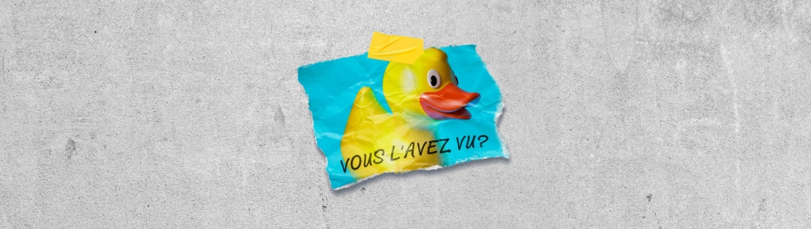 FVS23_AvisRecherche-Banner_2700x736px