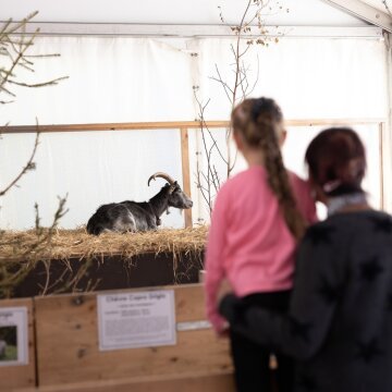 La Foire du Valais en famille